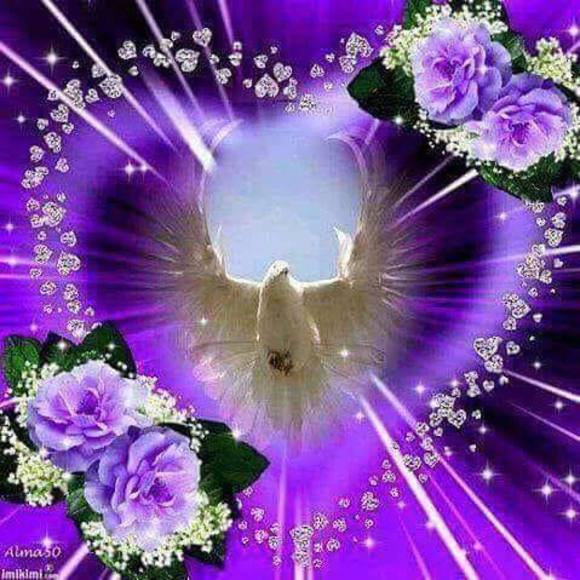 Meet your Posher, Kevin - Picture 1 of 1